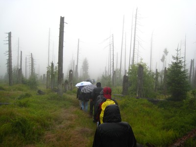 Hike in the Bavarian Forest National Park - small